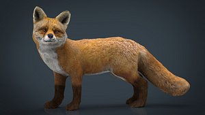 FOX
