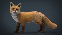 FOX