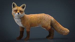 FOX
