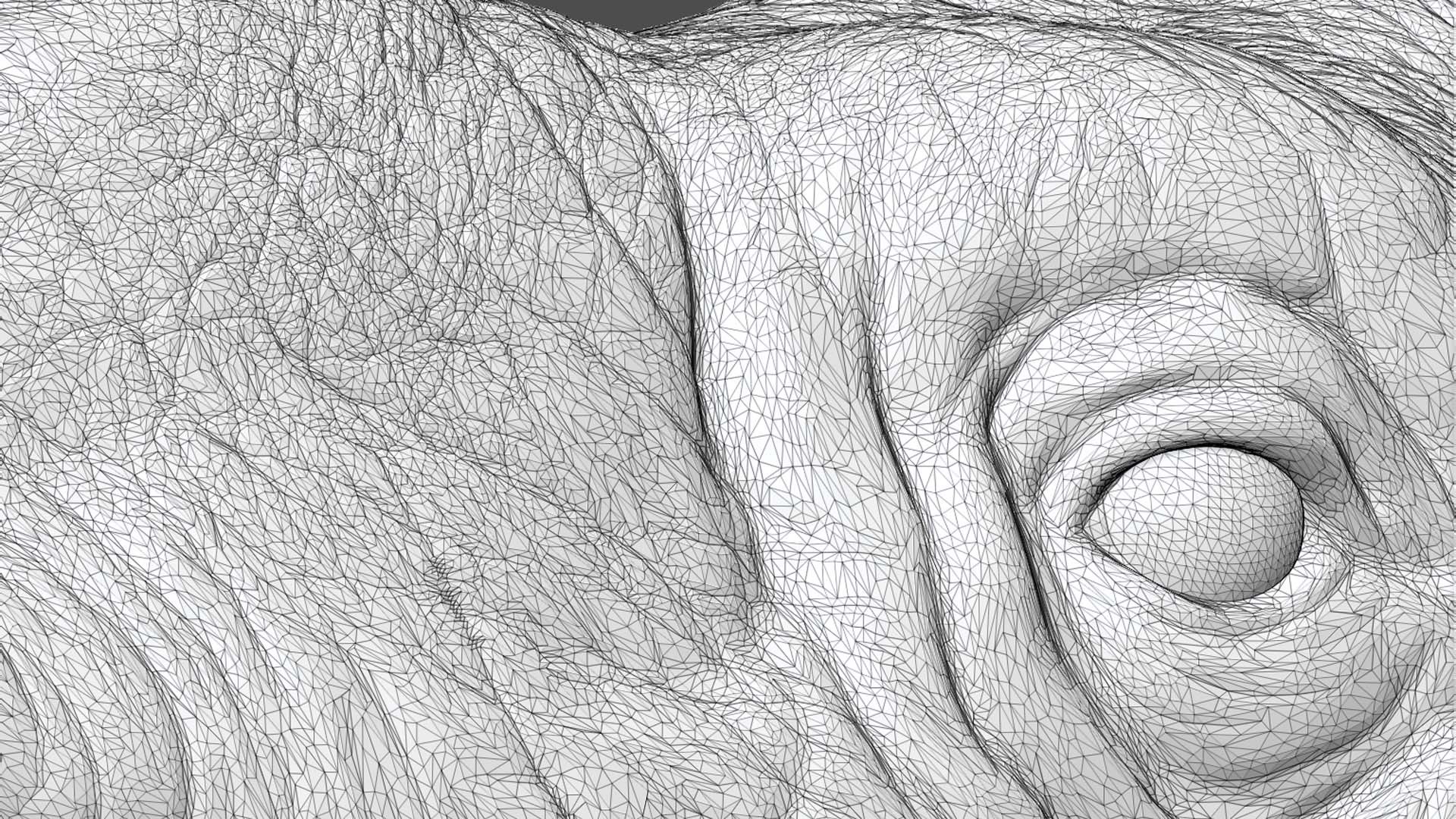 Indian rhinoceros bust 3D model https://p.turbosquid.com/ts-thumb/hT/5Rw6SP/C7/28/jpg/1721894921/1920x1080/fit_q87/58c30ef301649e2f903bc7755dcb4e652c1db573/28.jpg