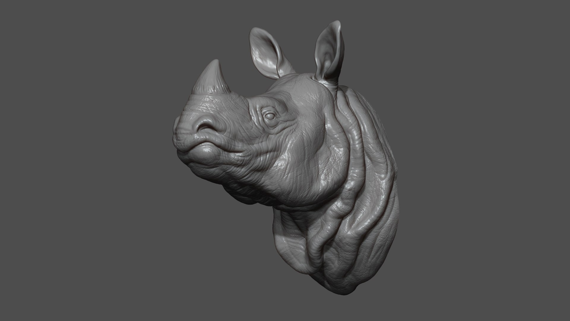 Indian rhinoceros bust 3D model https://p.turbosquid.com/ts-thumb/hT/5Rw6SP/CE/4/jpg/1721894903/1920x1080/fit_q87/4558a49efc8d64121c1cab8e97c94857e42e64ea/4.jpg