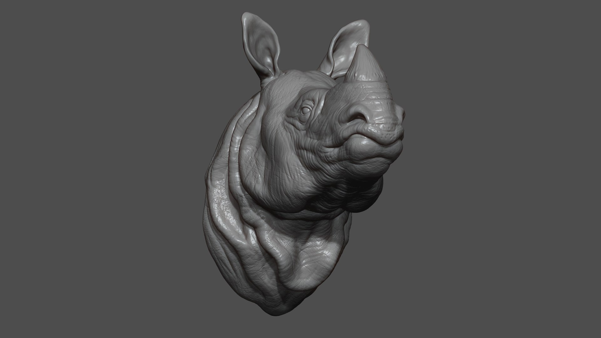 Indian rhinoceros bust 3D model https://p.turbosquid.com/ts-thumb/hT/5Rw6SP/Ee/7/jpg/1721894913/1920x1080/fit_q87/ad3abfe294f9ec2624feafa7836ceebedd02f1ca/7.jpg