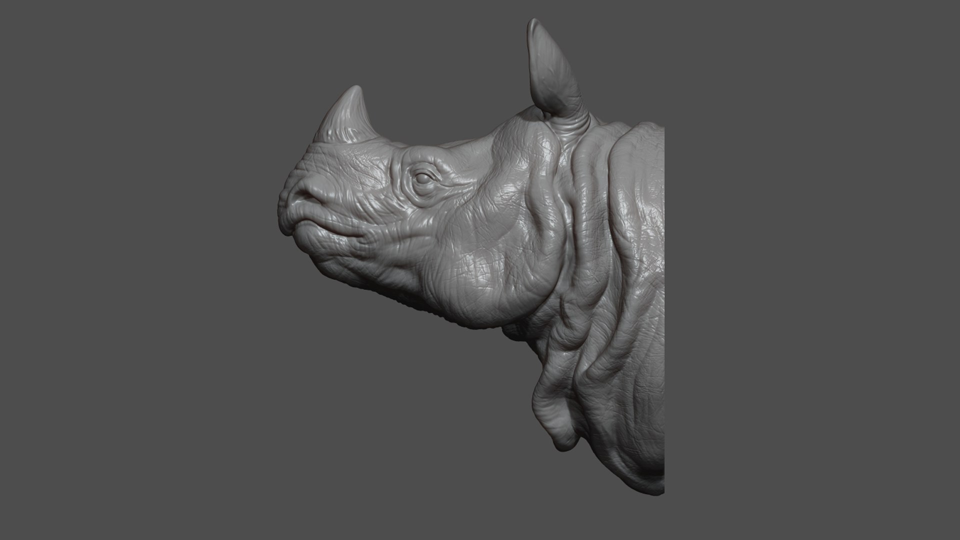 Indian rhinoceros bust 3D model https://p.turbosquid.com/ts-thumb/hT/5Rw6SP/LP/5/jpg/1721894906/1920x1080/fit_q87/733b773e1be8a62c64089f73639022c3ef014b87/5.jpg
