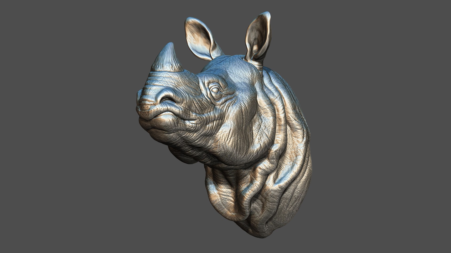 Indian rhinoceros bust 3D model https://p.turbosquid.com/ts-thumb/hT/5Rw6SP/MX/11/jpg/1721894915/1920x1080/fit_q87/874c15b8ee1a2f6ad3a6e4ac7ceb2341a99da1ed/11.jpg