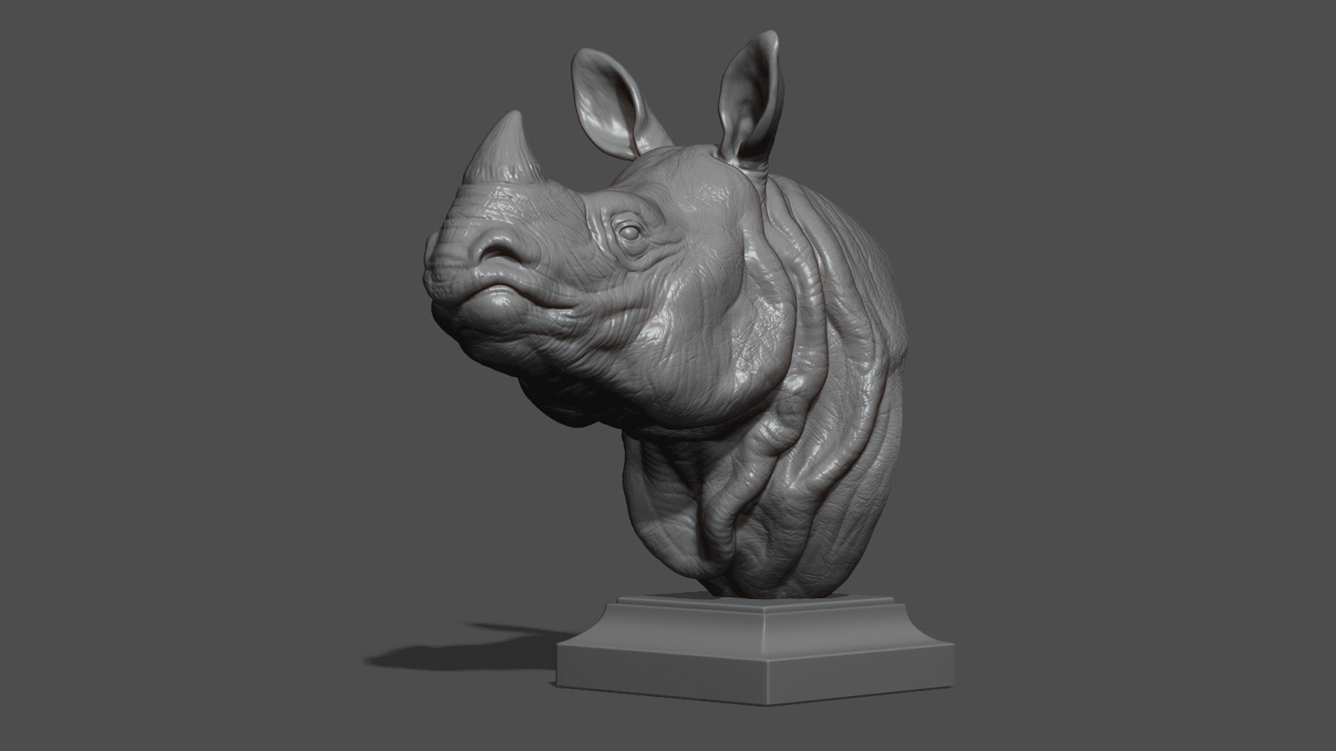 Indian rhinoceros bust 3D model https://p.turbosquid.com/ts-thumb/hT/5Rw6SP/iq/22/jpg/1721894919/1920x1080/fit_q87/5a022ca7a1452615b22085804c3697d8c449e0d1/22.jpg