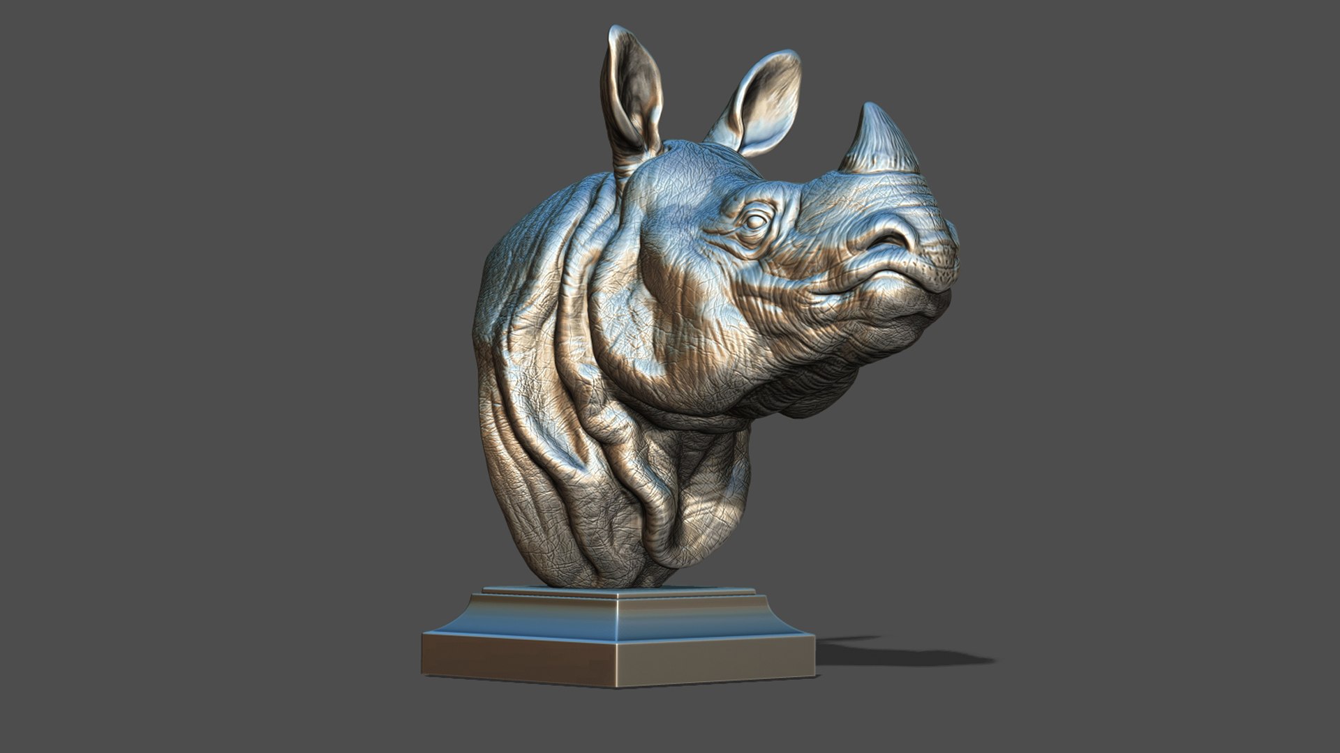 Indian rhinoceros bust 3D model https://p.turbosquid.com/ts-thumb/hT/5Rw6SP/qB/27/jpg/1721894921/1920x1080/fit_q87/2f291fc198c005ae1593a7ffe183d978e9da1017/27.jpg