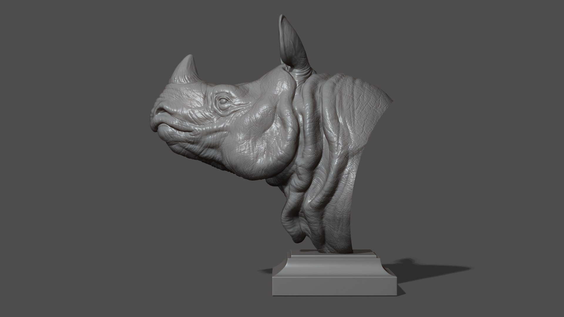 Indian rhinoceros bust 3D model https://p.turbosquid.com/ts-thumb/hT/5Rw6SP/yn/20/jpg/1721894918/1920x1080/fit_q87/fb7c6eb91c59f320a51630beb3c8d2ddcb8ed4cb/20.jpg