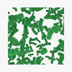 microscopic microbes multiplying