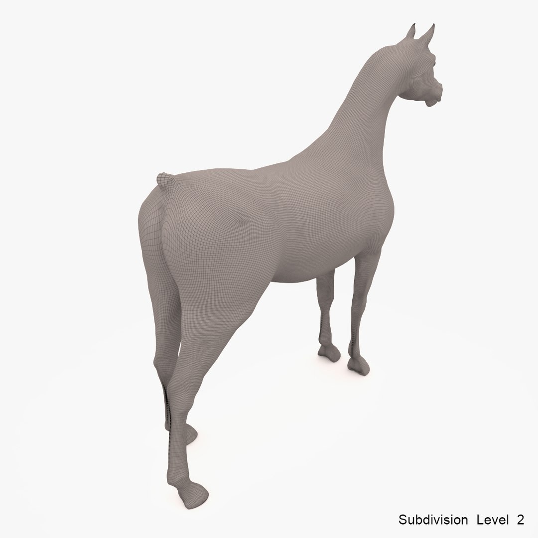 3d model horse arabian grey https://p.turbosquid.com/ts-thumb/hT/DSMUsn/2LgdF3Dk/image_17/jpg/1466455588/1920x1080/fit_q87/6293900d7fc7f942c625a119a1c10fe2492eaa3a/image_17.jpg