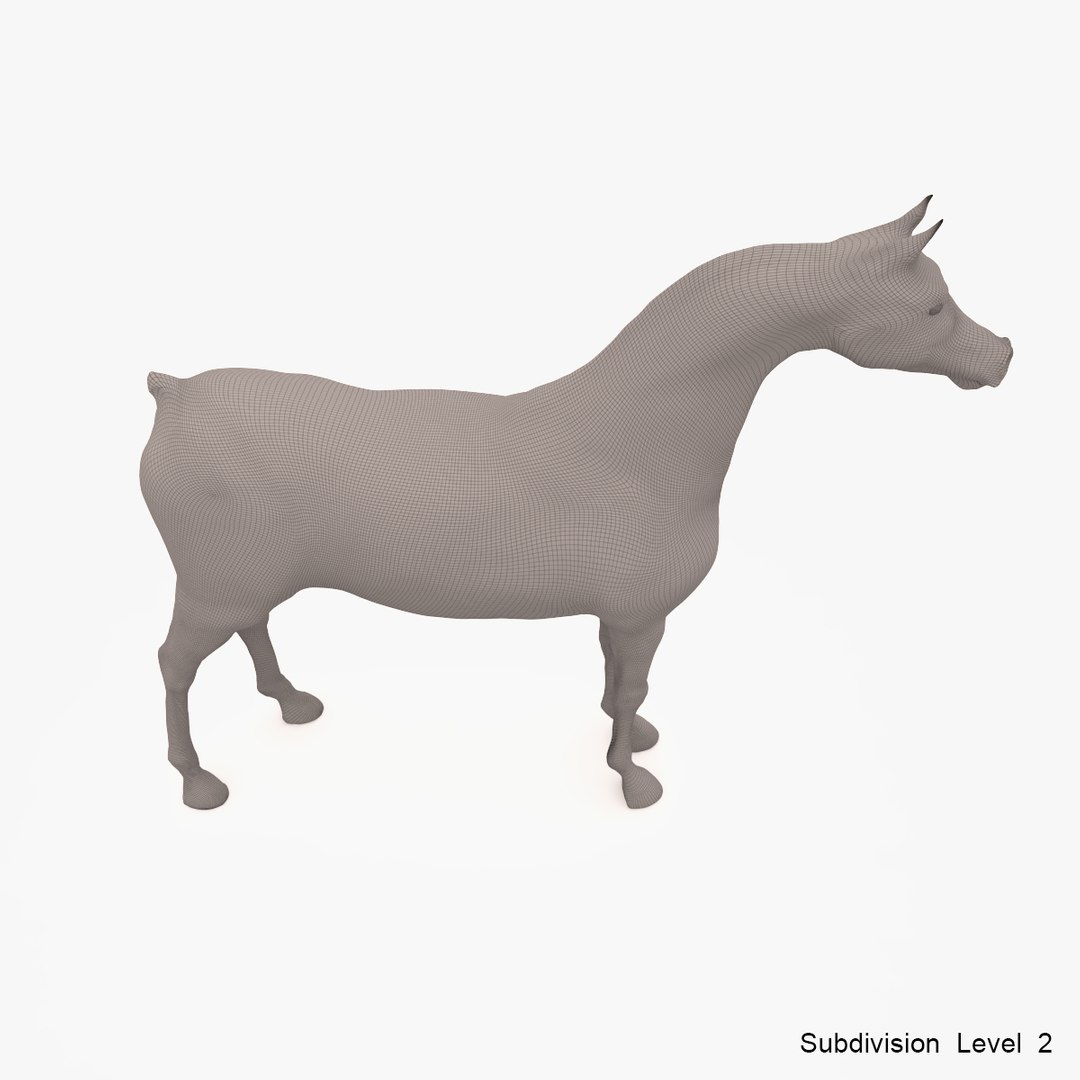 3d model horse arabian grey https://p.turbosquid.com/ts-thumb/hT/DSMUsn/MOtIwlex/image_19/jpg/1466455588/1920x1080/fit_q87/894565c509ce4c6ec3b3f047968a4a6c8db8879b/image_19.jpg