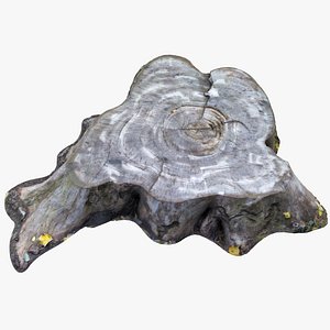 3D model flat stump