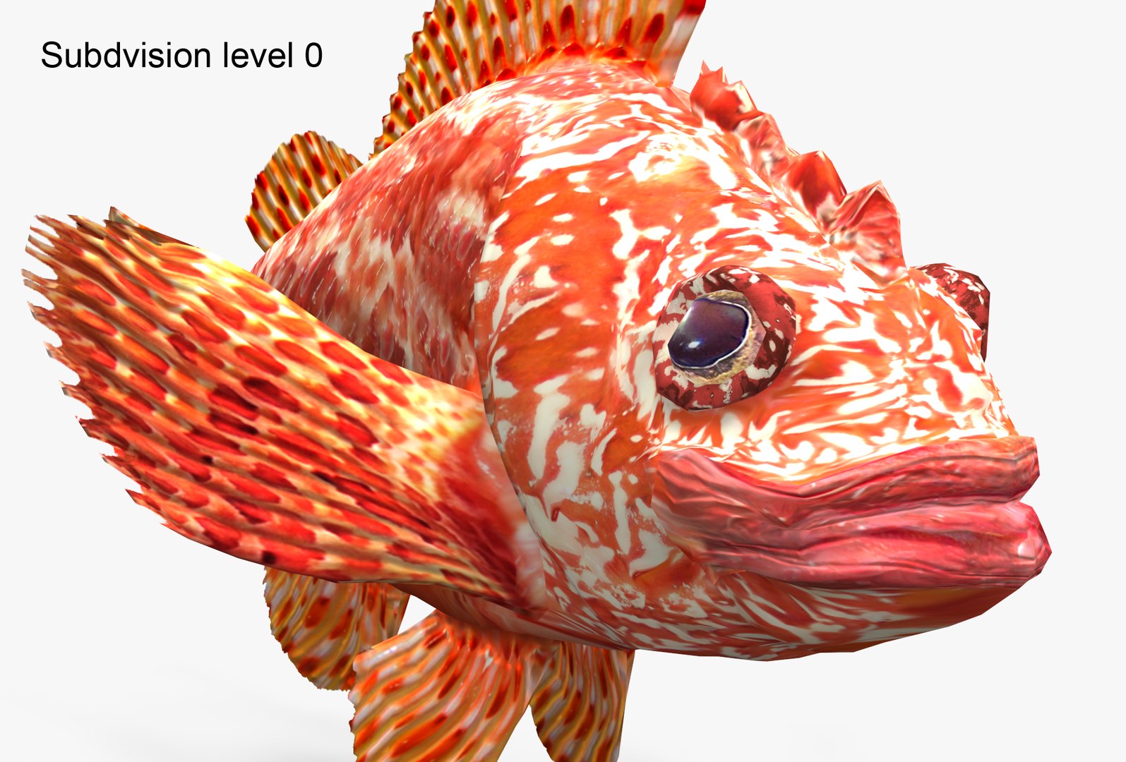 3D Animations Mediterranean Roccofish - TurboSquid 1509889