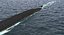 Submarino nuclear de los Estados Unidos clase de Ohio aparejado