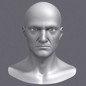 3d polygonal male head