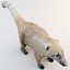 3ds max nasua raccoon modelled