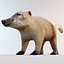 3ds max nasua raccoon modelled