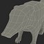 3ds max nasua raccoon modelled