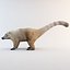 3ds max nasua raccoon modelled