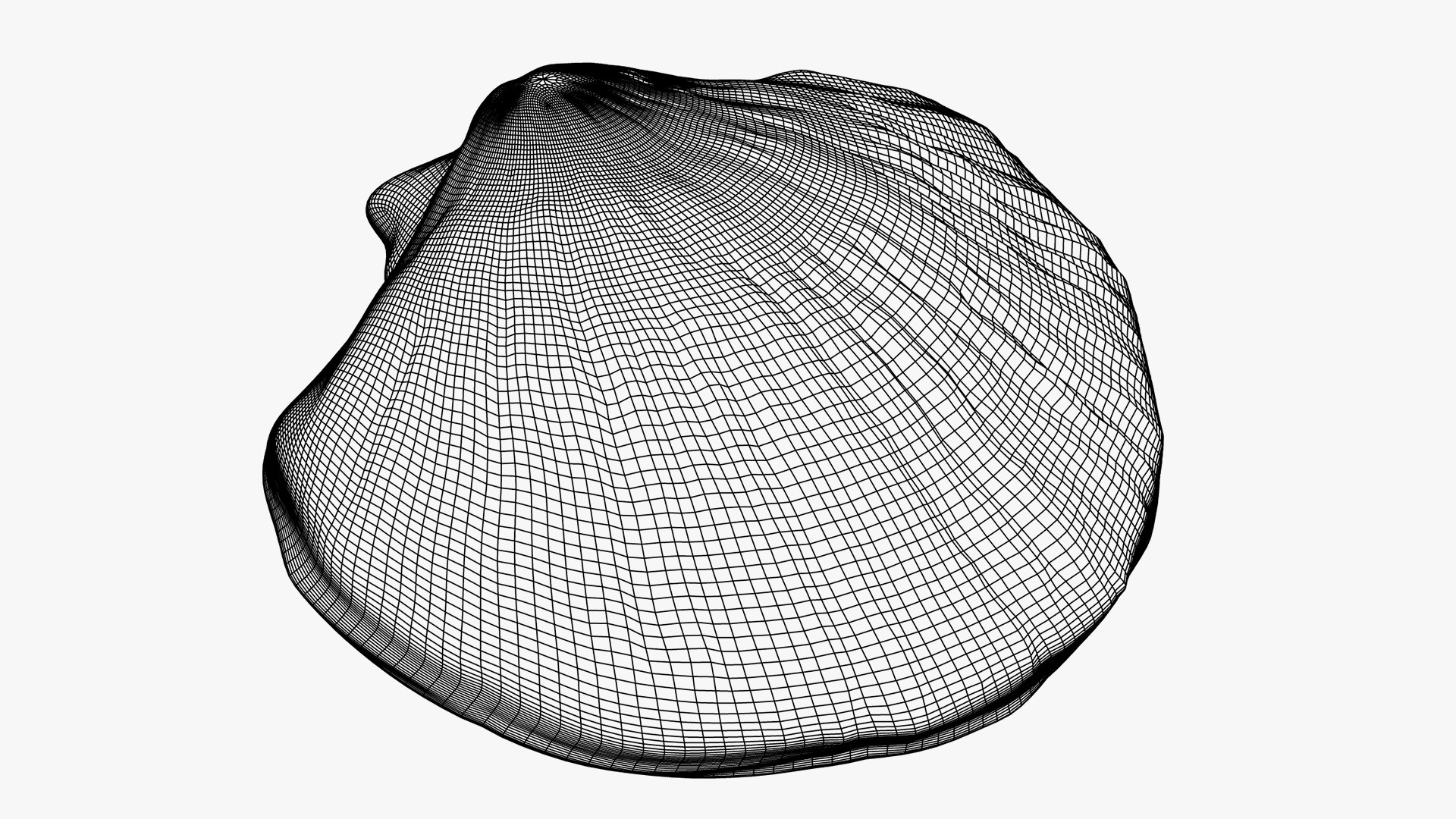 3D Seashell Model - TurboSquid 1738649