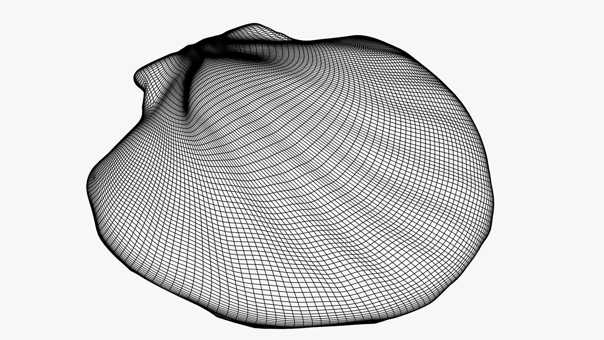 3D Seashell Model - TurboSquid 1738649