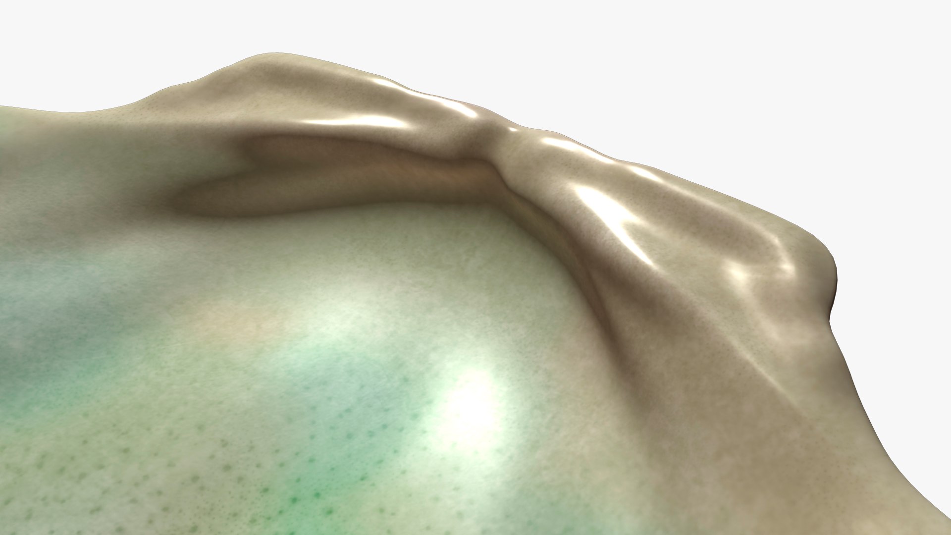 3D Seashell Model - TurboSquid 1738649