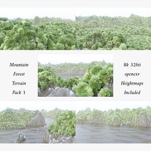 Mountain Forest Terrains 1