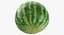 3D Watermelons Collection 03 - 3 models model