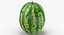 3D Watermelons Collection 03 - 3 models model