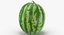 3D Watermelons Collection 03 - 3 models model