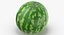 3D Watermelons Collection 03 - 3 models model