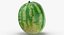 3D Watermelons Collection 03 - 3 models model