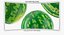 3D Watermelons Collection 03 - 3 models model
