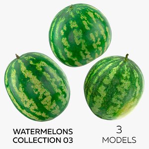 3D Watermelons Collection 03 - 3 models model