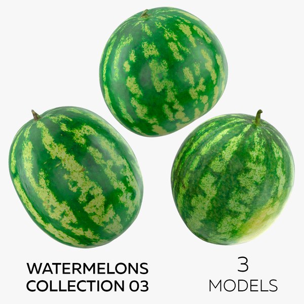 Watermelon 3D Models for Download | TurboSquid