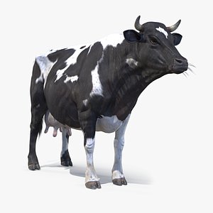 real time cow pbr 3D