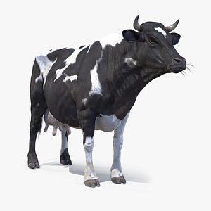 Black And White Milch Cow PBR