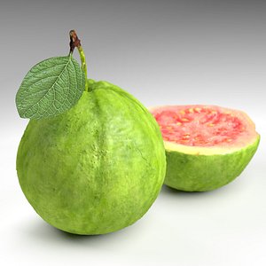 green guava 3d obj