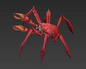 spider crab 3D model