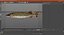 Pike Fish Swimming Pose