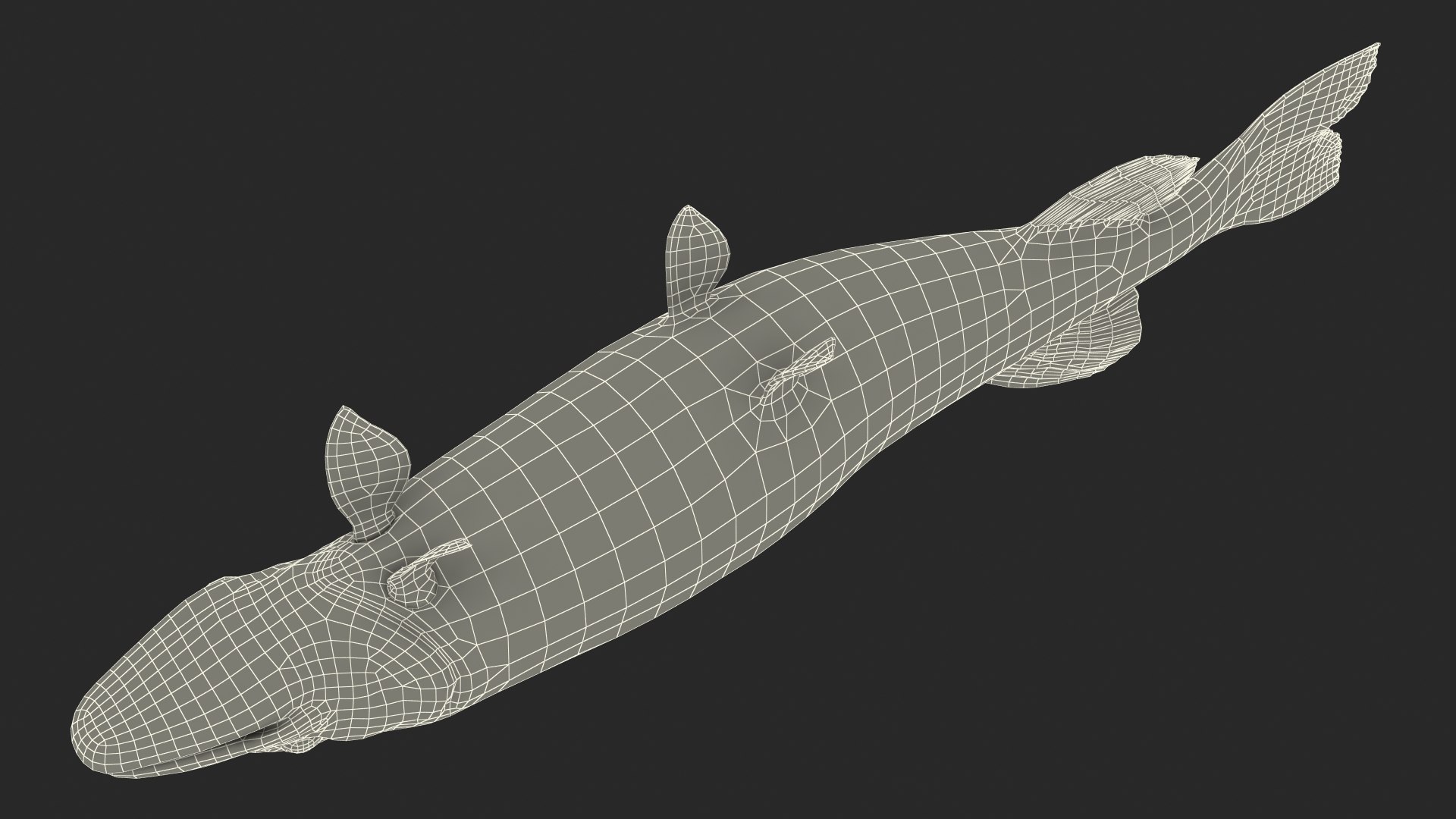 pike fish swimming pose 3D model https://p.turbosquid.com/ts-thumb/hU/OlViwn/WQUju0sV/pikefishswimmingpose3dmodel023/jpg/1593612612/1920x1080/fit_q87/191aa89928ba148e19d77ce6c82216176edd2793/pikefishswimmingpose3dmodel023.jpg