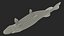 Pike Fish Swimming Pose