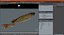 Pike Fish Swimming Pose
