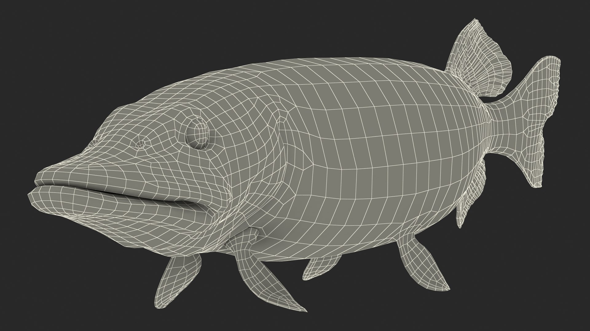 pike fish swimming pose 3D model https://p.turbosquid.com/ts-thumb/hU/OlViwn/hDOoFHGc/pikefishswimmingpose3dmodel022/jpg/1593612605/1920x1080/fit_q87/2d78faa65528bfdab7543273f3ac3660499213db/pikefishswimmingpose3dmodel022.jpg