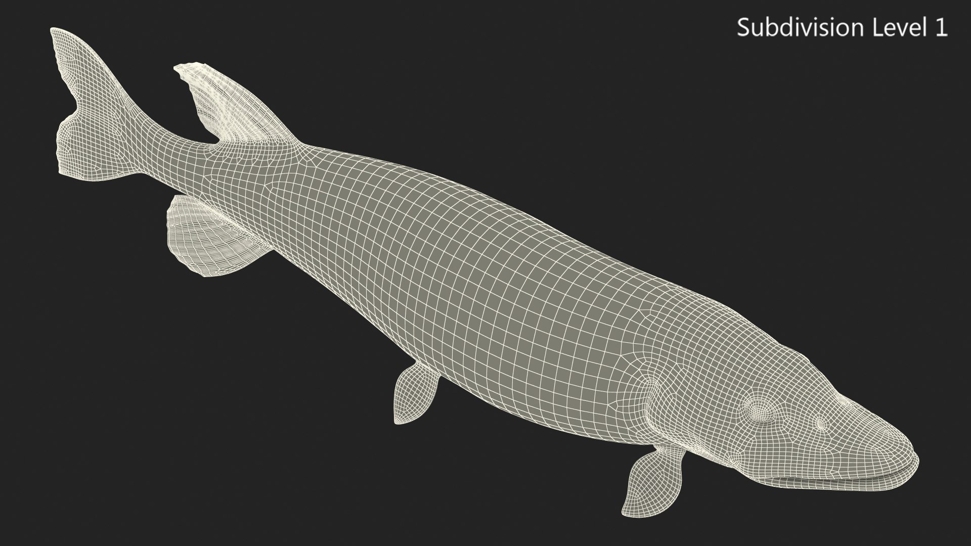 pike fish swimming pose 3D model https://p.turbosquid.com/ts-thumb/hU/OlViwn/nab3BjV9/pikefishswimmingpose3dmodel014/jpg/1593612539/1920x1080/fit_q87/40d28f1463318f4dc61b133edd3c7d92cc1d9d9a/pikefishswimmingpose3dmodel014.jpg