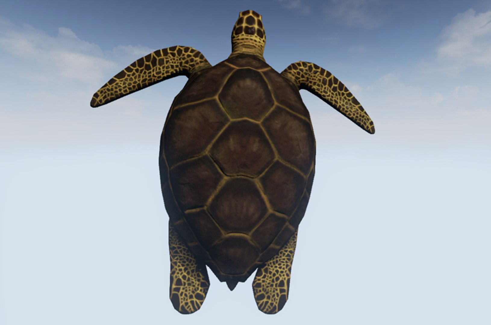 Sea Turtle 3d Obj