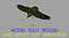 Corvus Cryptoleucus "Chihuahuan Raven"