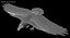 Corvus Cryptoleucus "Chihuahuan Raven"