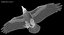 Corvus Cryptoleucus "Chihuahuan Raven"
