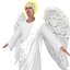 Angel V1