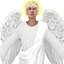 Angel V1